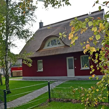 Regenpfeifer